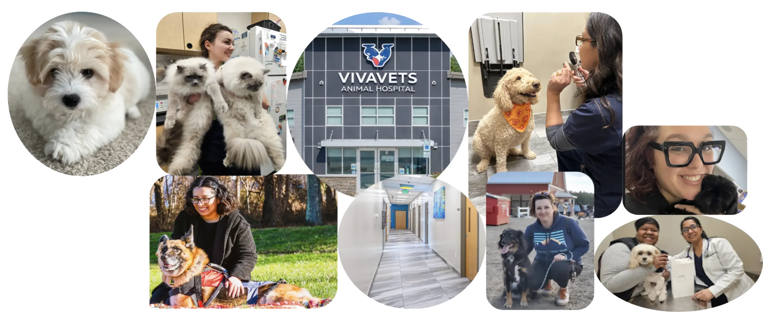 VivaVets Animal Hospital exterior signage