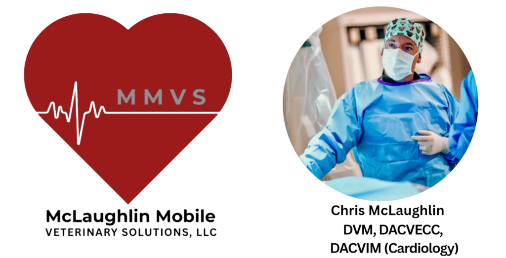 Chris Mclaughlin DVM, DACVECC