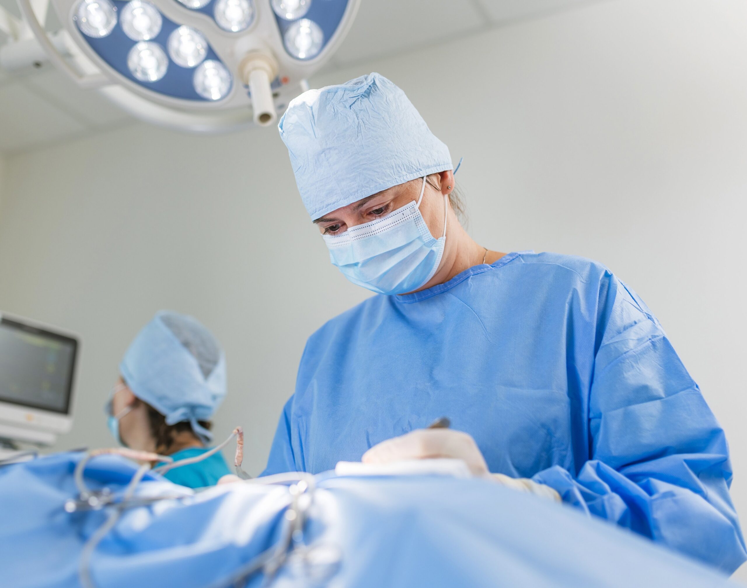 Veterinary surgical team during a procedure